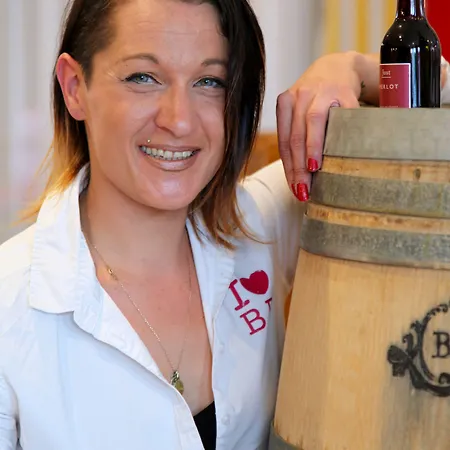 Hotel Ibis Kergaradec 3*